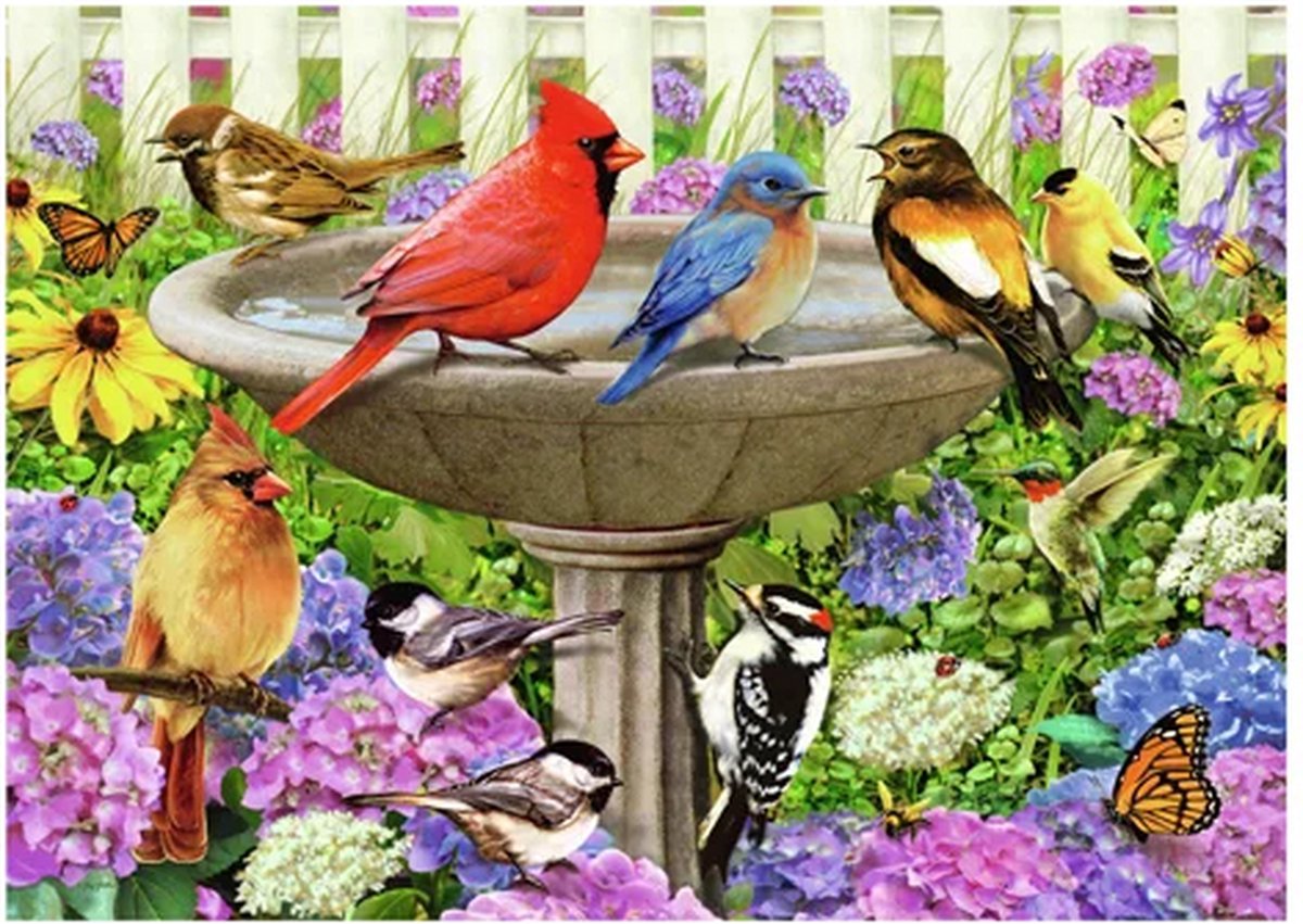 Ravensburger puzzel Bij het vogelbadje - Legpuzzel - 500 stukjes — afbeelding 8