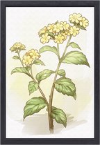 Bloem schilderij - Planten schilderijen - Schilderij op canvas Bladeren - Muurdecoratie landelijk - Canvas met baklijst - Kantoor accessoires canvas met baklijst 50x70 cm