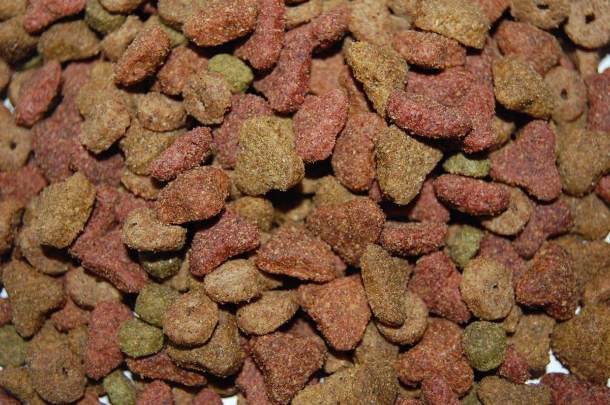 hadivo Hadivo Kattenbrok 5-mix 10KG