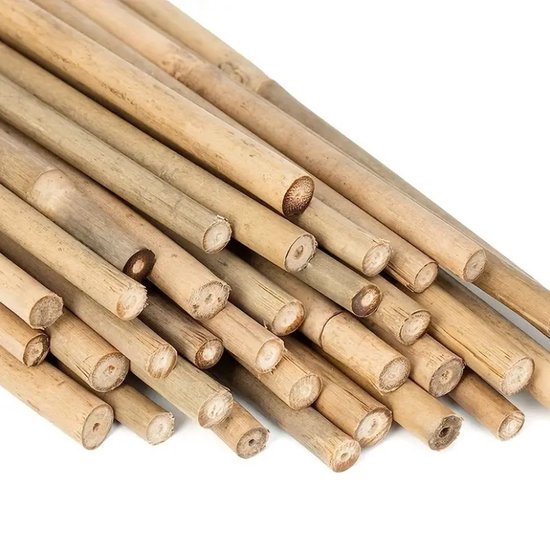 Tonkinstokken - 25 stuks - 61 cm - Voor plantenondersteuning