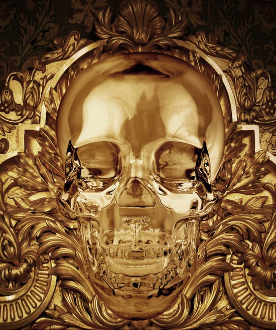 Golden Skull- Kristal Helder Galerie kwaliteit Plexiglas 5mm. - Blind Aluminium Ophangframe - Fotokunst - Luxe Wanddecoratie - inclusief verzending