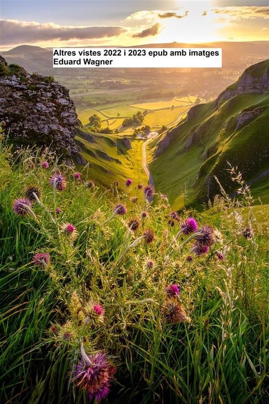 Altres vistes 2022 i 2023 epub amb imatges - cover