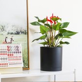 Kunststof Bloempot Set van 4 - Rond Plantenpot met Bewateringssysteem - Binnen en Buiten Decoratie - Thuis Kantoor - Duurzaam