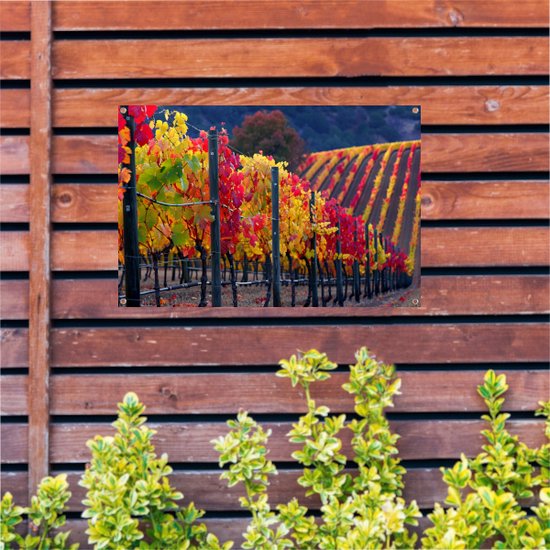 Wijnstokken posters - Natuur tuinposter - Tuinposters Bladeren - Tuinposter - Buitenschilderij schutting - Tuin decoratie tuinposter 105x70 cm