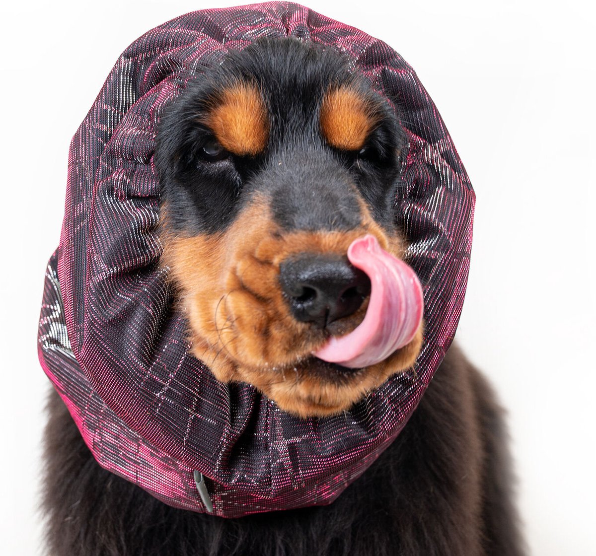 Show Tech - Snood Luxe Galaxy Spaniël Pink - oorbeschermer voor medium honden