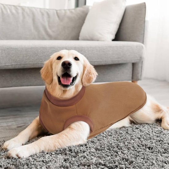 Pull-on - Truien Voor Honden / Kleding & Accessoires