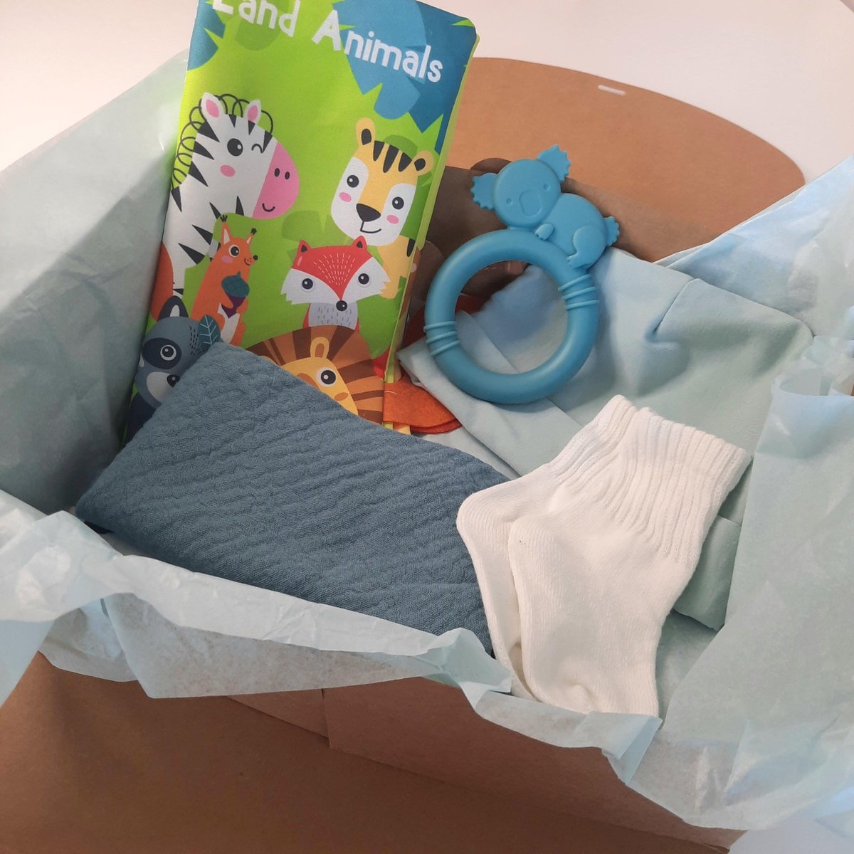 Goedkoopste Kraamcadeau pakket - unisex - groen - 6 delig - boekje - Babyshower cadeau - Kraammand - Babycadeau