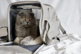 Motya transportbox honden katten - draagbare transporttas kleine dieren - dierentransportbox - carrier pet box