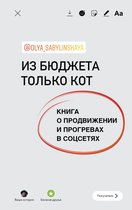 Бизнес в Рунете - Из бюджета только кот. Книга о продвижении и прогревах в инстаграме