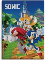 Sonic The Hedgehog - Fleece deken - Plaid - 100x140cm