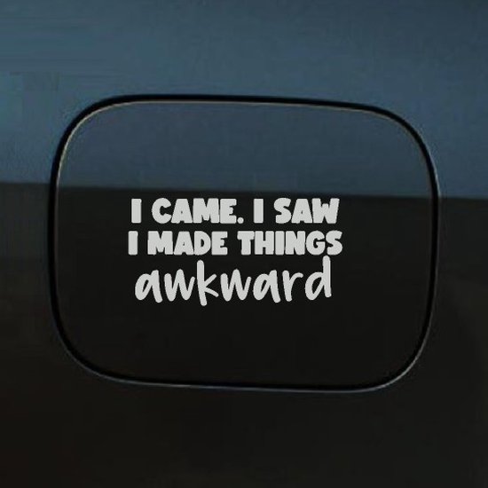Bumpersticker - I Came, I Saw - 10x20 - Licht Grijs
