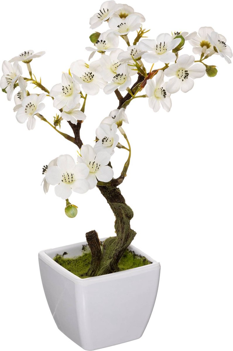 Kunstorchidee in bloempot, 26 cm