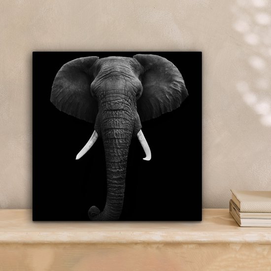 Canvas - Dieren - Olifant - Zwart - Wit - Muurdecoratie - 20x20 cm - Foto op canvas - Canvas schilderijen woonkamer