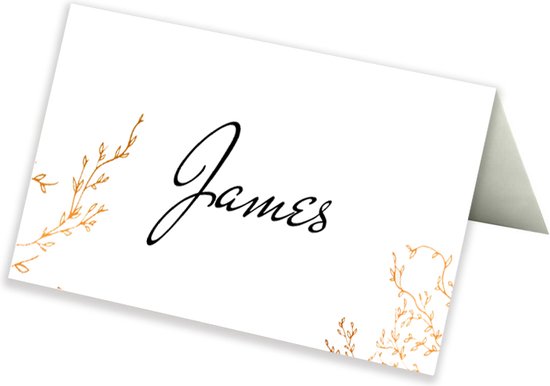 Wit naamkaartje met gouden takjes en de naam 'James' in sierlijk handschrift.