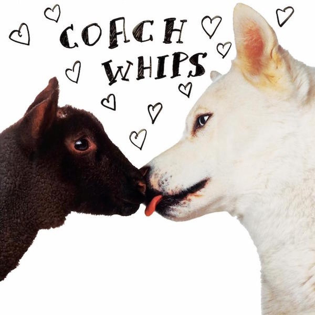 Coachwhips - Bangers Vs. Fuckers (LP) (Limited Edition) (Remastered)