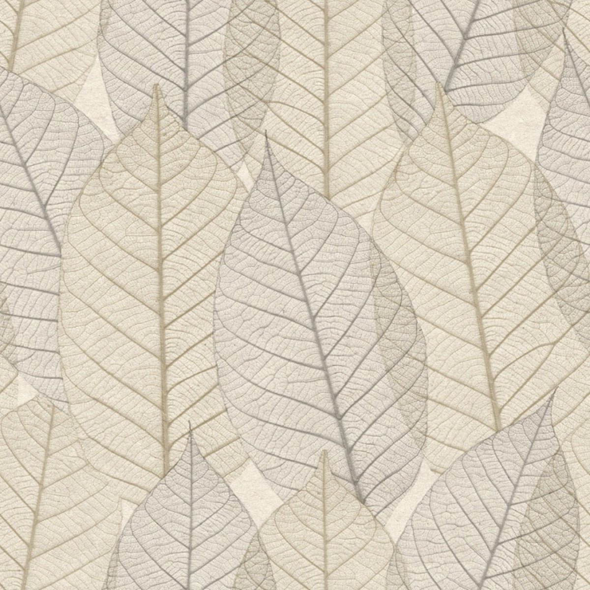 Herbarium - Vliesbehang - Bladeren - Natuur - Beige / Bruin - 10,05 x 0,53 M.