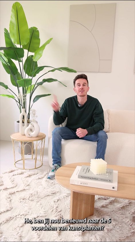 Olijfboom 100 cm | Plante artificielle d' Olijfboom| Plantes artificielles pour l'intérieur | Arbre artificiel méditerranéen