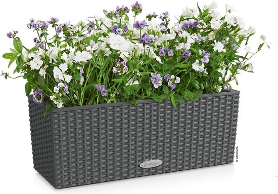 Pflanzkübel 100 Cm - Die 15 besten Produkte im Vergleich