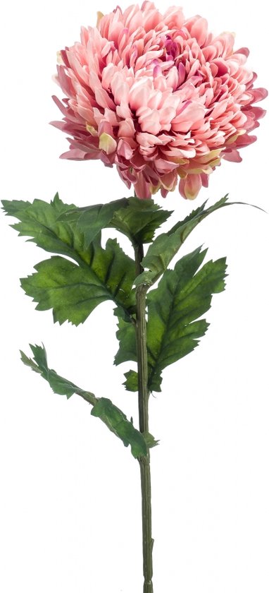 Foto: Fleurdirect kunstbloem mum spray roze 14 x 75 x 0 cm bxhxd 