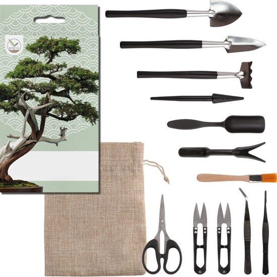 5 populaire bonsaiboompje soorten + extra info over gereedschap en starter kits 21 Bonsai Starters Kit - Boompje Inclusief Gereedschap - Schaar - Zaden - Schepjes