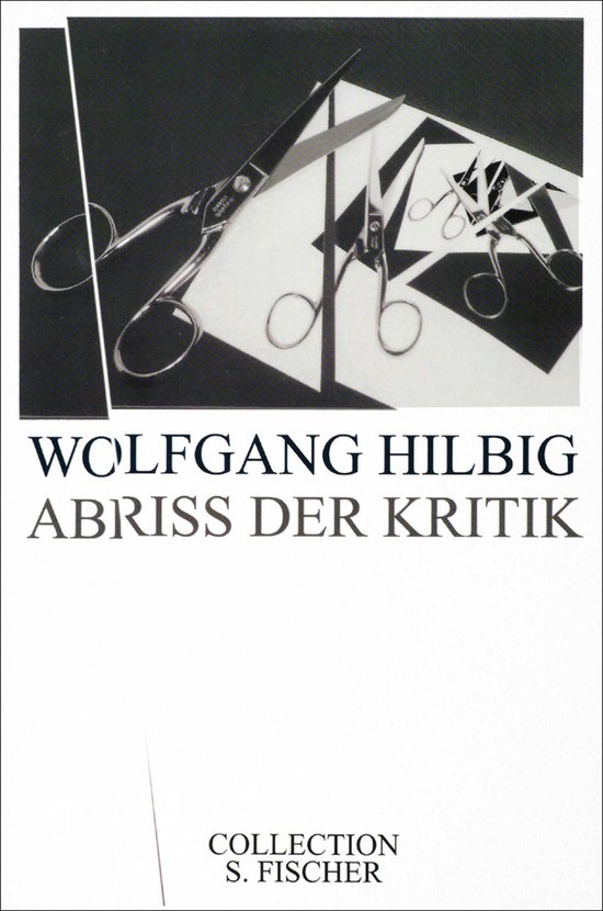 Abriss der Kritik - cover