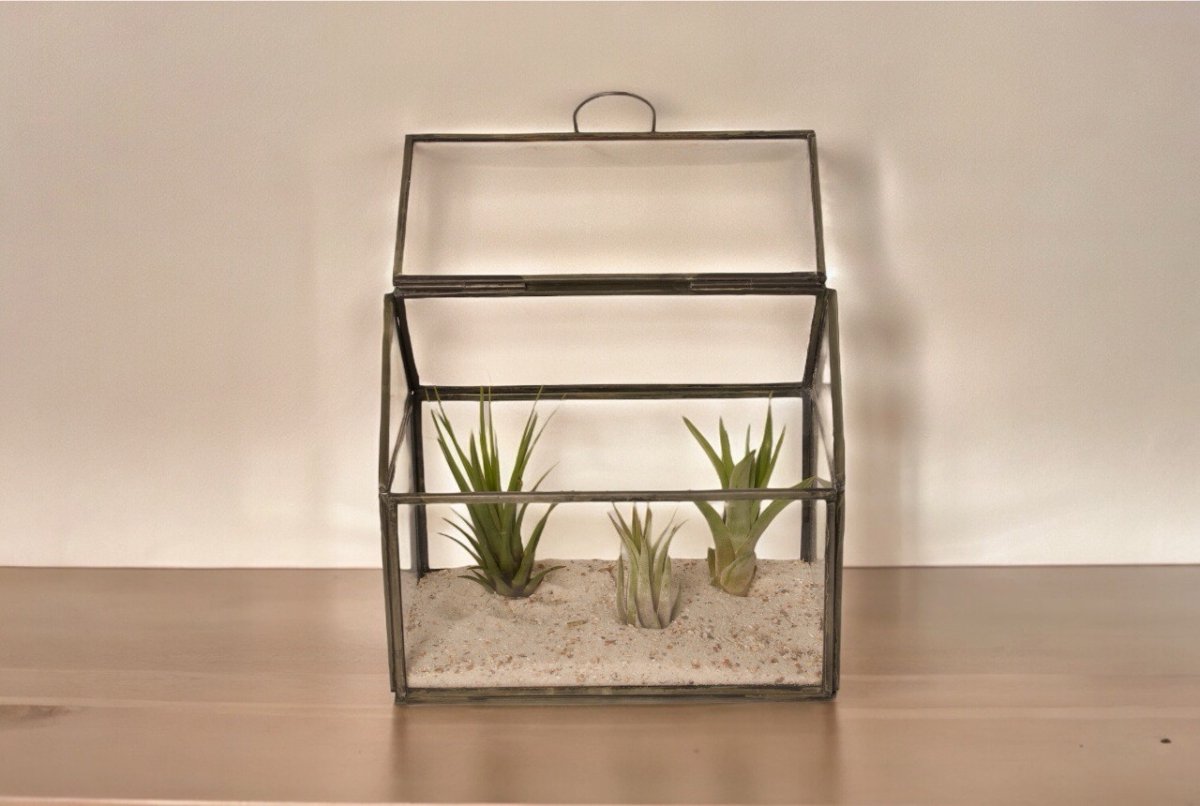 WinQ- Terrarium van glas met grijs metaal 17x11x15cm-plantenterrarium