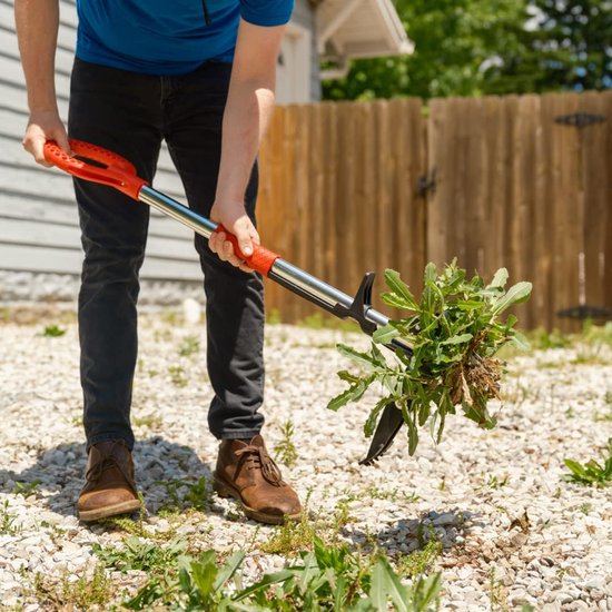 Onkruidverwijderaar - Onkruid - RVS - Wortels - Gereedschap - Efficient van De Wit — afbeelding 5