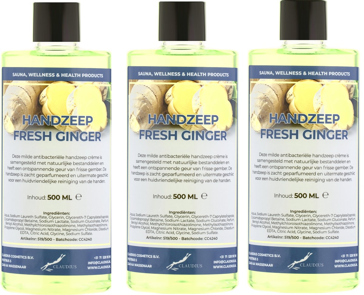 Goedkoopste Handzeep Fresh Ginger 500 ml - set van 3 stuks