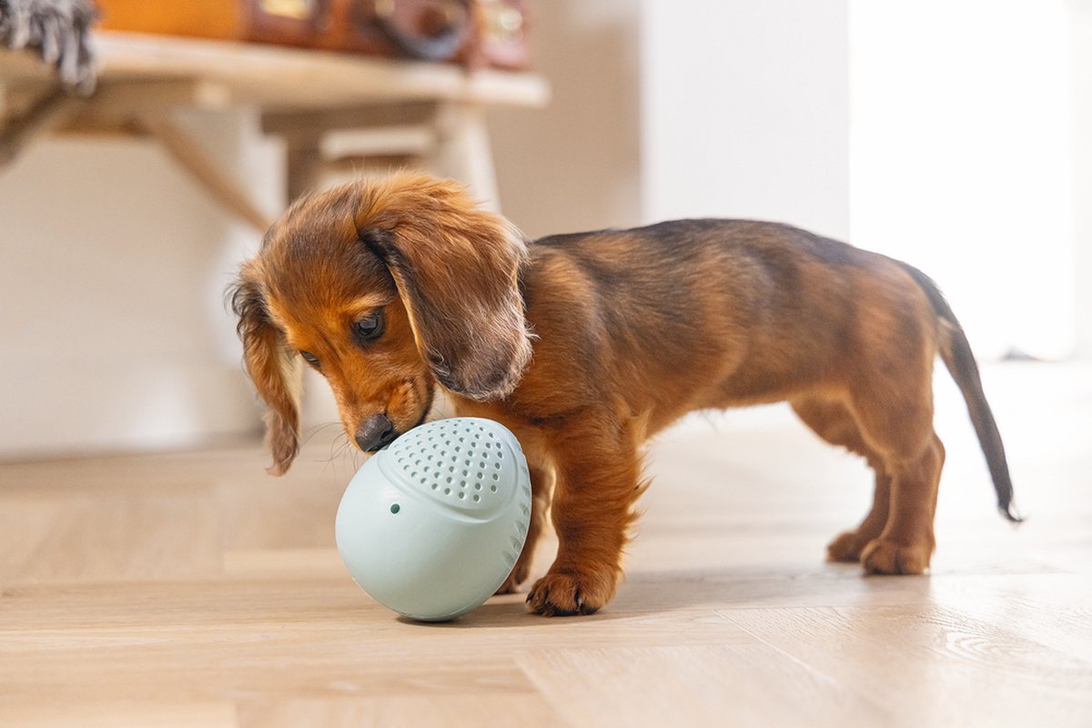 Beeztees Puppy Rubber Snackei - Puppy Speelgoed - Hondenspeelgoed - Groen 8 x 8 x 10 cm thumbnail 2