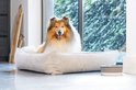 Grote collie met gouden vacht rust in een lichtgrijze, ribstof hondenmand.