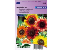 Sluis Garden- Zonnebloem Avondzon mix (Helianthus)