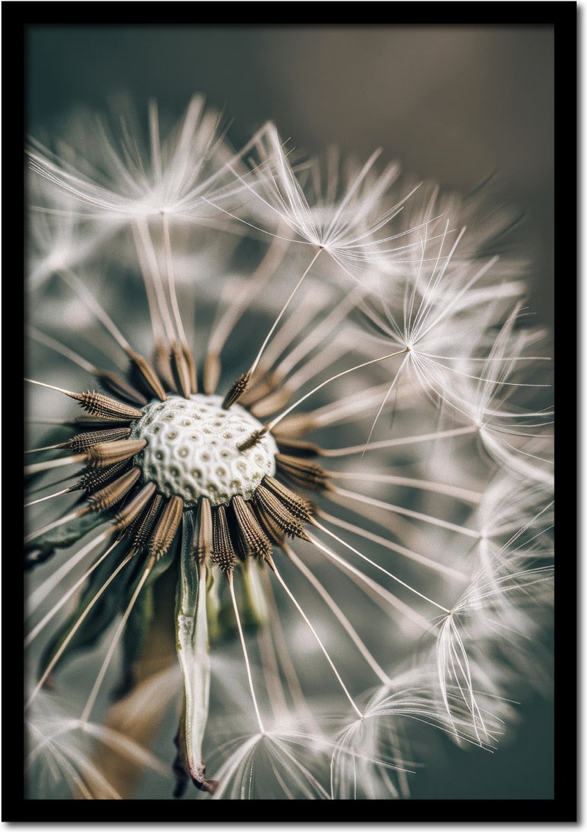 Plakkers Poster paardenbloem close up - 21cm x 30cm a4 - vintage - woonkamer - slaapkamer - bloemen posters - goedkoop - muurposter - natuur - wanddecoratie Full-colour