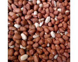 Buitenvogels- Vogelvoer- tuinvogels- eekhoorns- Gepelde pinda's- Pinda's - 2kilo