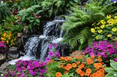 Waterval poster - Natuur poster - Tuinposters Bloemen - Buiten poster - Tuinschilderijen voor buiten - Tuindecoratie wanddecoratie tuinposter 75x50 cm