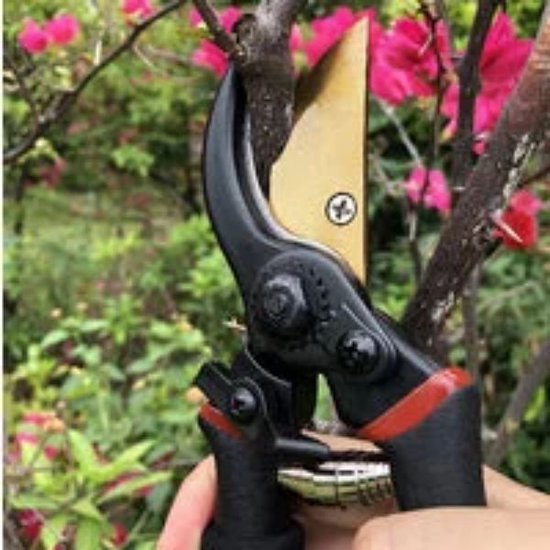 7.9 "upgrade professionele kwaliteit gelegeerd staal snoeischaar bypass, handsnoei, tuinschaar, boom trimmer, tuingereedschap van Haus & Garten — afbeelding 5