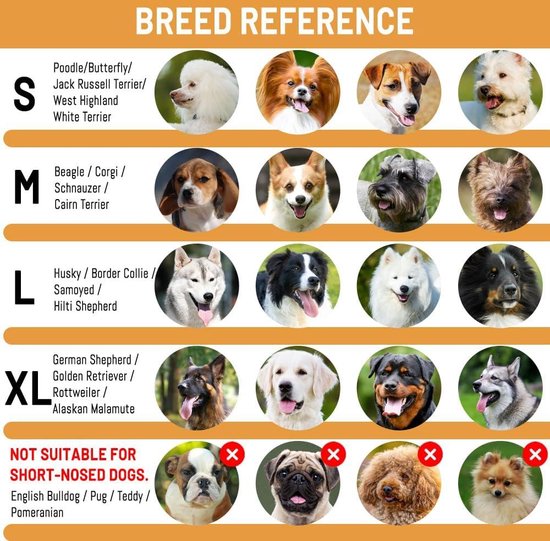 Company of Animals Halti Halster, zodat je hond stopt met trekken aan zijn leiband, gemakkelijk aan te trekken, volledig gewatteerd deel op de snuit, anti-trekhalsbanden voor grote honden (maat 4