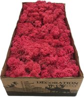 MosBiz Rendiermos Fuchsia per 500 gram voor decoraties en mosschilderijen