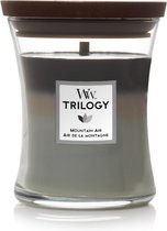 Woodwick Trilogy Mountain Air - Medium