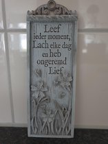 H&H Driftwood langwerpige plaque met tekst Leef ieder moment....