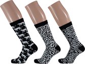 Apollo Animal Black & White Socks | 3-Pack Giftbox | Maat 36-41