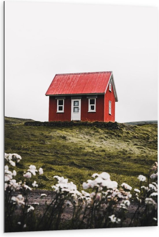 Dibond - Rood huisje op de Bergen - 80x120cm Foto op Aluminium (Met Ophangsysteem)