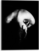 Acrylglas - Blote Vrouw mat Zwarte Achtergrond (zwart/wit) - 30x40cm Foto op Acrylglas (Wanddecoratie op Acrylglas)