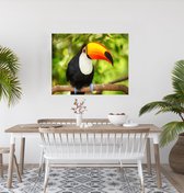 JDBOS ® Peinture par numéro Adultes avec cadre (bois) - Oiseau Toucan - Peinture adultes - 40x50 cm