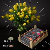 COMBI DEAL: 50 x Verse gele Tulpen + 100 x Verse Tulpenbollen” by BOLT Amsterdam - Enkelbloemig – Prachtige mix van 5 kleuren – De beste kwaliteit & Vers uit eigen duurzame kwekerij – Perfect