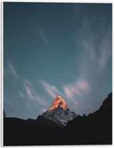 Forex - Rots - 30x40cm Foto op Forex