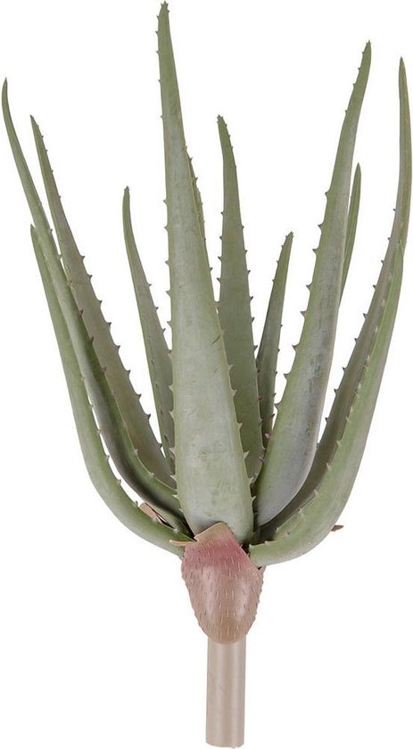 Present Time Kunstplant Aloe Thorn Stem 39,4 Cm Groen