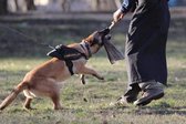 Cop / Politie K9 Harnas - Hondentuig maat XL