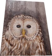 Peinture en bois avec hibou 33 x 25 cm Peinture hibou | Choix ciblé