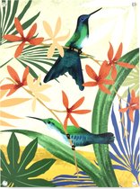 Art for the Home - Tuinposter - Tropische Vogels - 80x60 cm