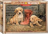 Puzzle Eurographics Quelque chose de vieux Quelque chose de nouveau - 1000 pièces